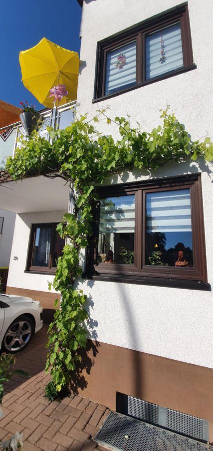 Karibu Apartment Tiefenthal Luaran gambar