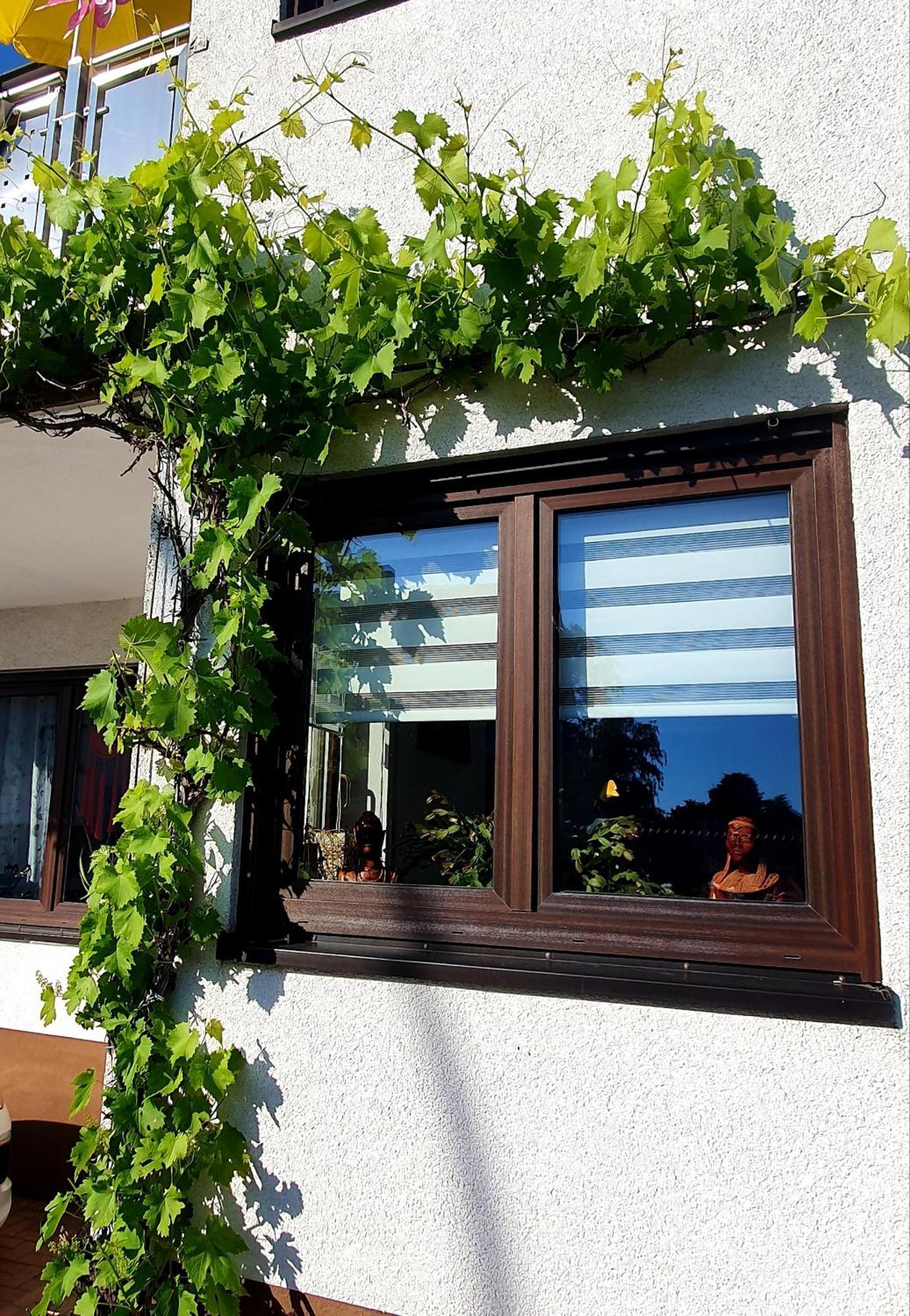 Karibu Apartment Tiefenthal Bilik gambar